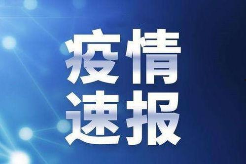 澳门新冠最新爆料新闻视频,视频揭露疫情背后真相  第3张